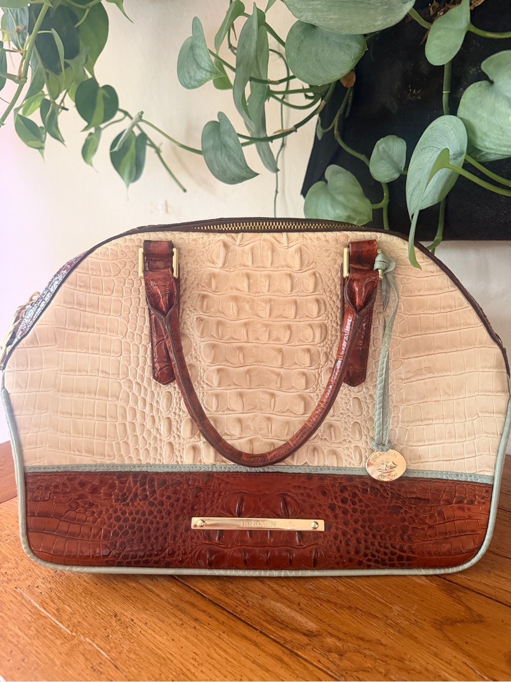 Brahmin Cream and Brown Croc-Embossed Satchel with Mint Trim